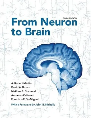 From Neuron to Brain 封面