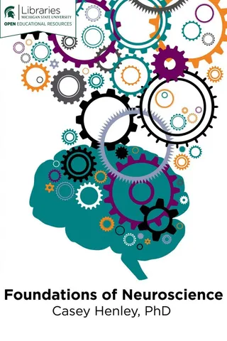 Foundations of Neuroscience 封面