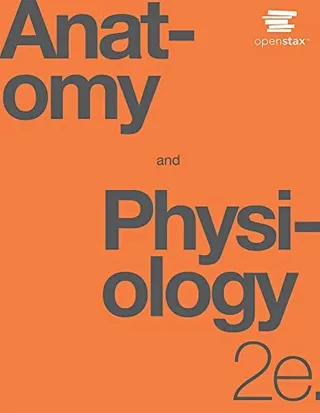 Anatomy and Physiology 2e 封面