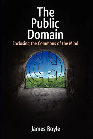 The Public Domain: Enclosing the Commons of the Mind 封面