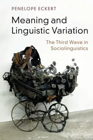 Meaning and Linguistic Variation: The Third Wave in Sociolinguistics 封面