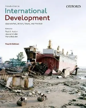 Introduction to International Development: Approaches, Actors, Issues, and Practice 封面