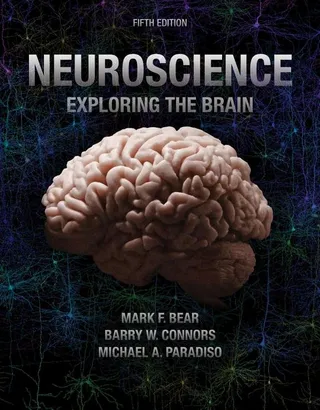 Neuroscience: Exploring the Brain 封面