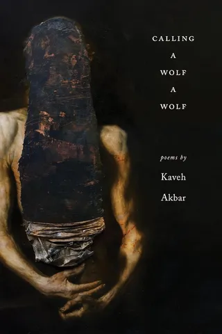 Calling a Wolf a Wolf 封面